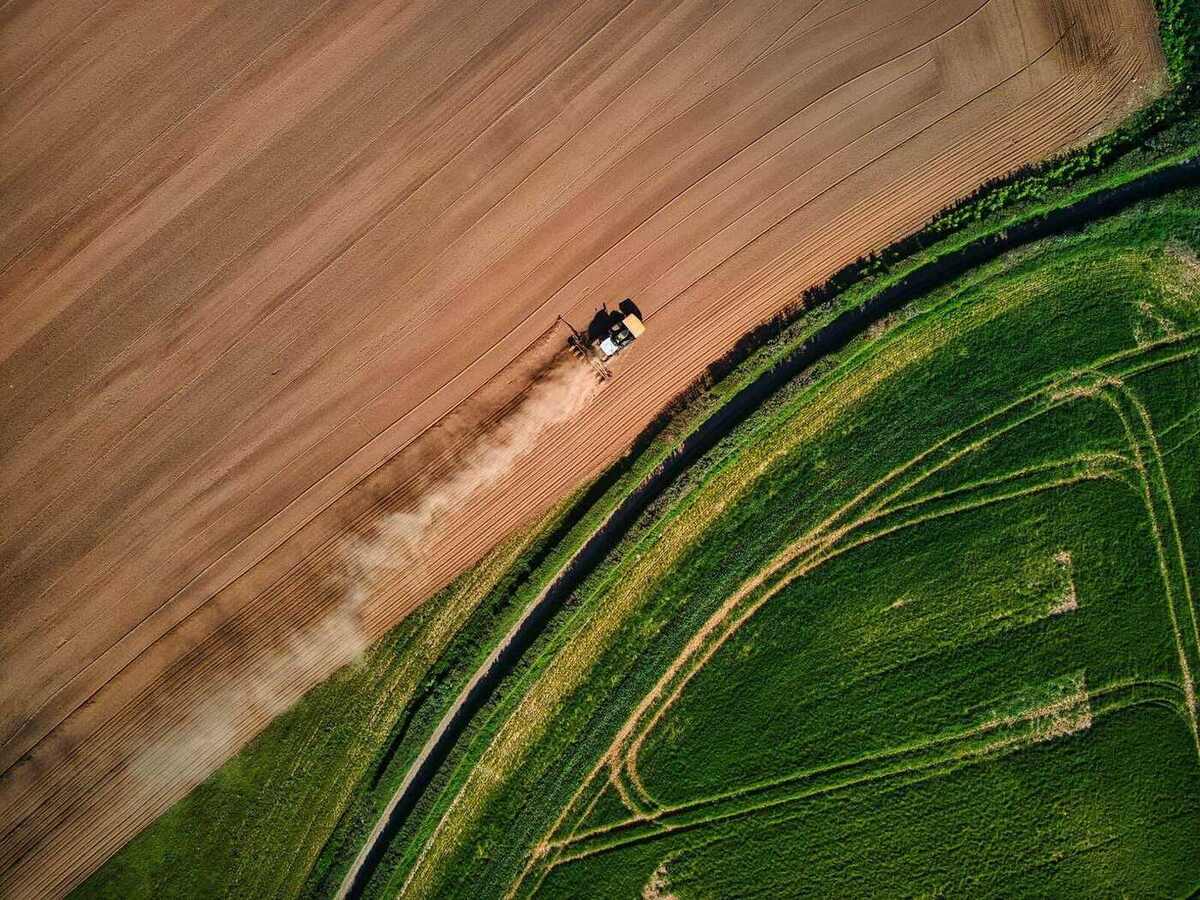 Vista aérea de lavoura brasileira em cores naturais